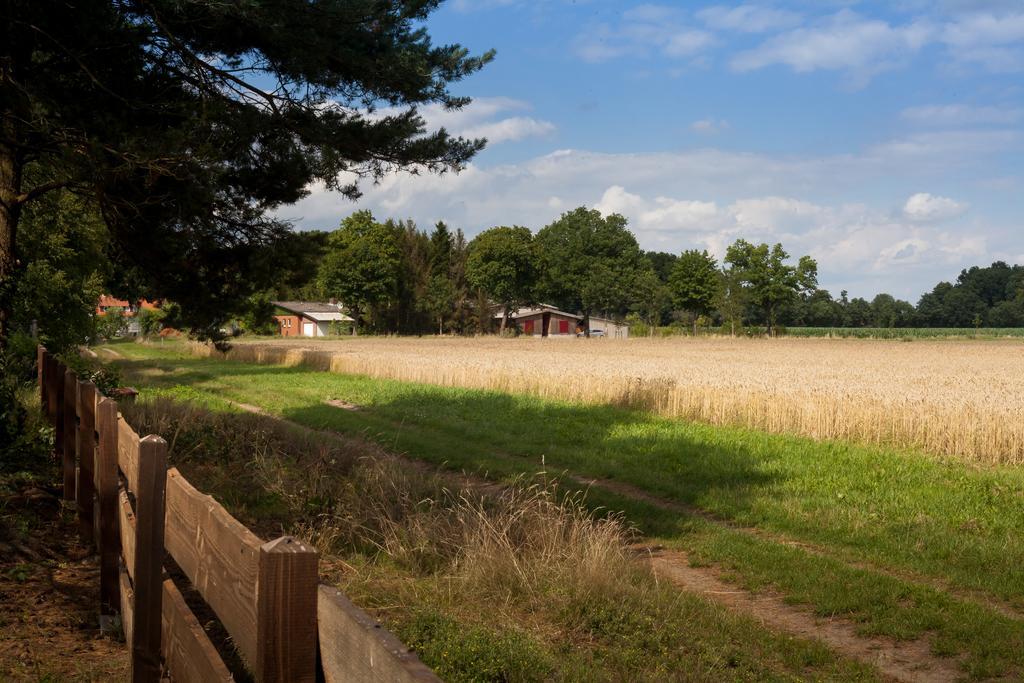 Ferienhaus Heideland Winsen Aller Meissendorf Номер фото